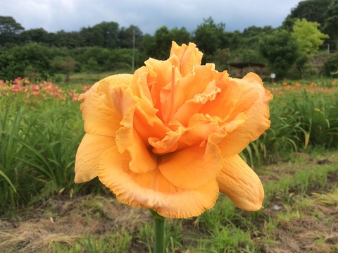 3F6BEFE9-4746-4B5A-95E9-CE44258E14DB