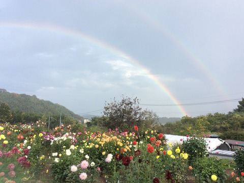 2387645A-7686-4924-A746-583BB33B389B