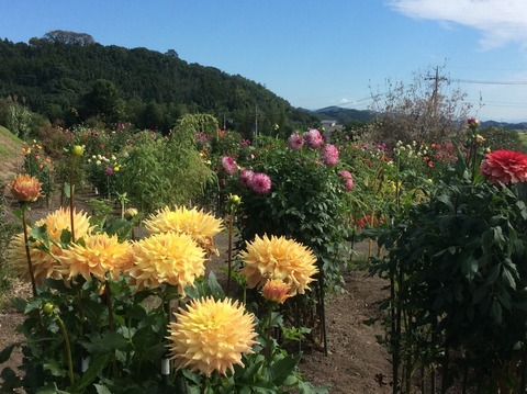 0C95184F-6544-488A-9723-93B99D36B5AB