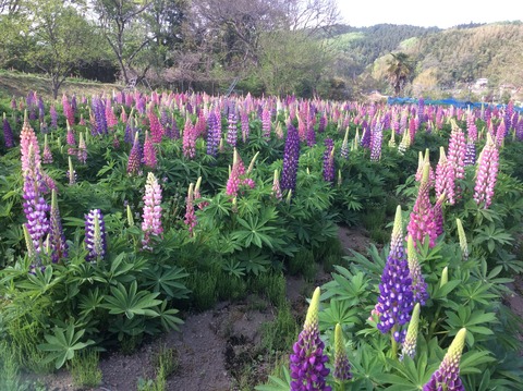 1A08CA09-0CD0-45FF-BD55-98E3C1E94E2C