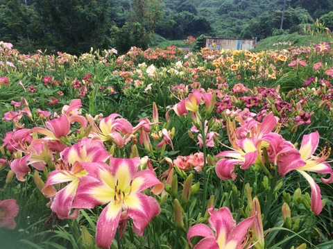 F406E0C7-2D73-4FC4-BA08-3678F9E749C1