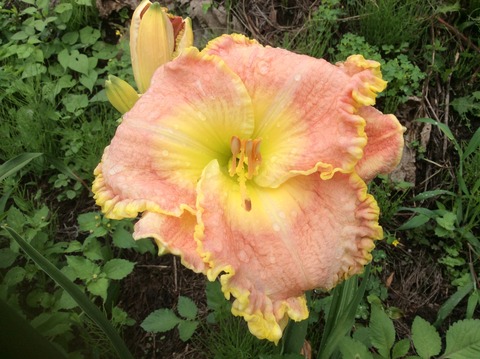 F18A736A-83C2-47EE-BA11-6ED25516EA4B