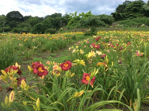 9C02958D-D495-4AC0-A1BB-3F5CBB74BD43