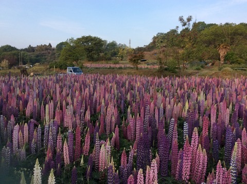 BCBE1EE1-3508-4A84-A2FB-E8794777259D