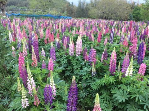 BEE23BB8-FF97-4DA4-B2D2-419B9550055B