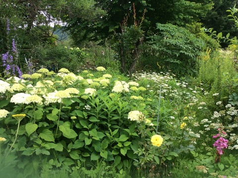 6CF3922D-6EA5-4A48-BD39-AB0BF4E10C5C