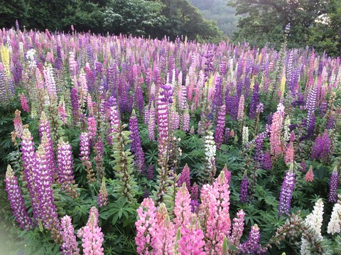 CEA0C611-B548-47A5-9A6B-0CC45F6CBDA5