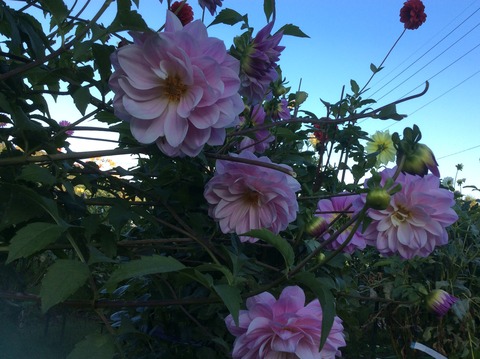 5E243FA4-9FA1-49FB-9169-06BF005FE002