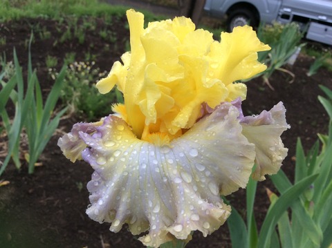 858B77D7-9DC3-4EA6-AB9C-D127E4ABDA5C