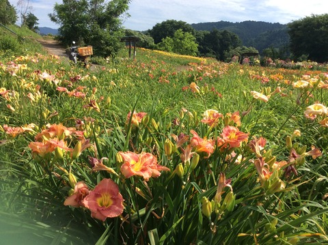 854A5173-F774-4B14-9F4F-FA6877EFD174