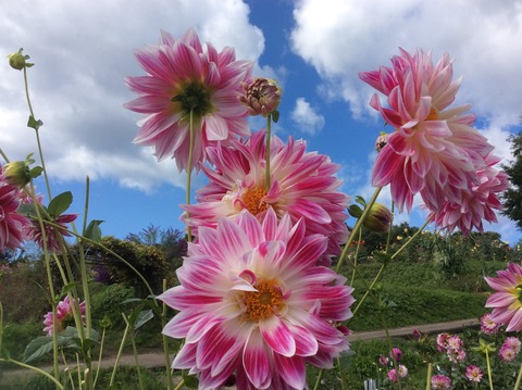 6309992B-4A14-4C4A-9E61-32204AEBE24E