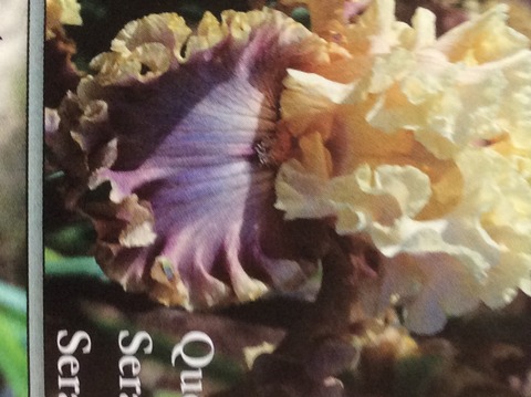 BF03613B-C252-46BF-A23A-B1BFA75360C5