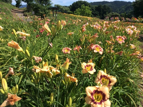 8E6D151D-C56A-4110-BFC8-0AF33B547381