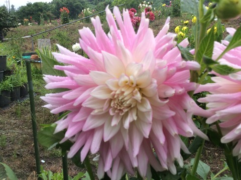 326AFA7D-5E66-47B6-963E-72CE9BD1C555