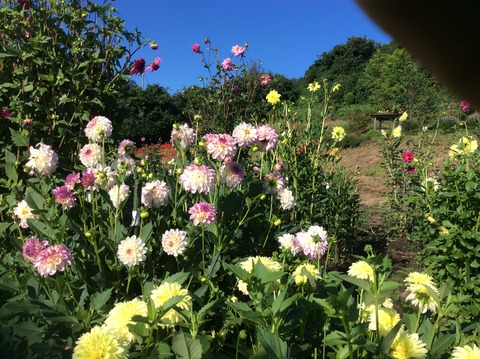 9FB2EC53-6B57-4E58-97A4-09F11BD6A504