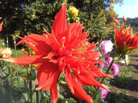 97B45FBE-28F1-4089-AA8F-952441945409