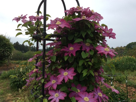 9AAAF2EB-311D-41D9-B17A-01275DD189E7