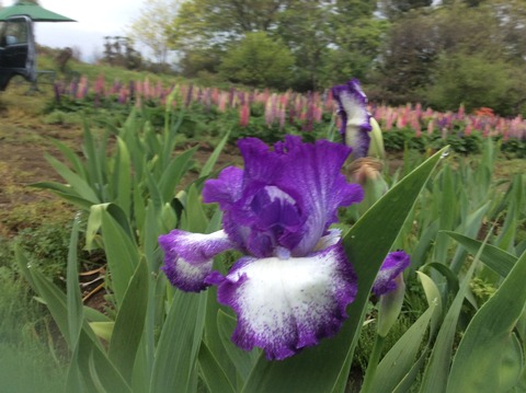 F94E1F51-A9C0-4C00-811B-AE28E9934F59