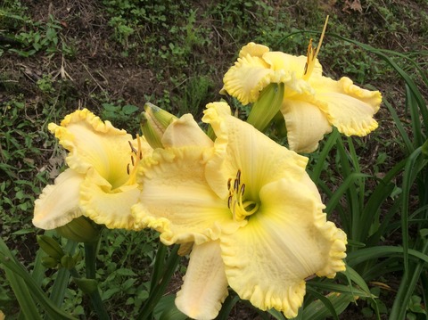 83C6CA1F-9A0B-43BD-B75B-87C5CC3945DB