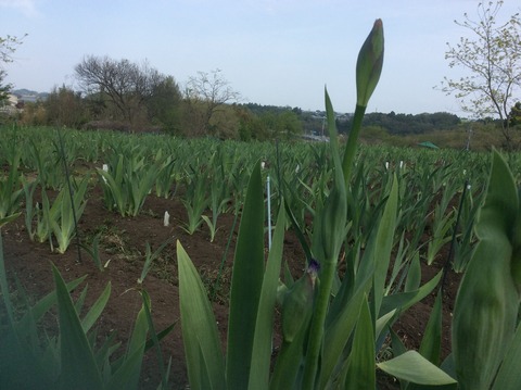 B96ECB10-6000-4F81-8BA0-B573343F600F