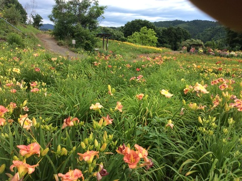 38B0A203-A3DF-41A7-AF5E-7EC6C570B526