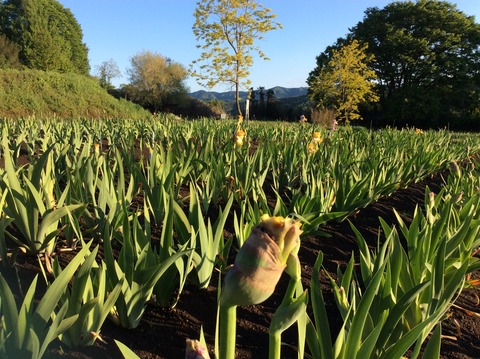 3F5A0B4A-F135-4DEF-8D1B-CB1341D70F68