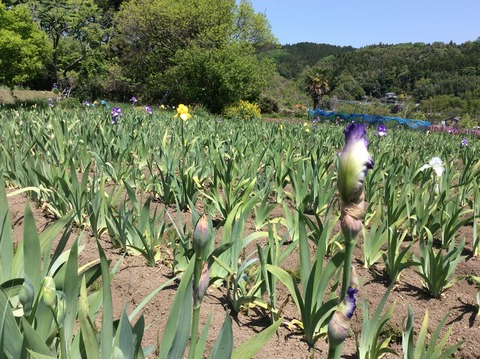 F7F1B3B9-ADC0-4901-AB02-616D11BA5337