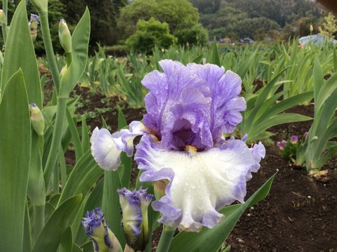 58D47F71-F25F-4DFE-A961-07195EB874D1