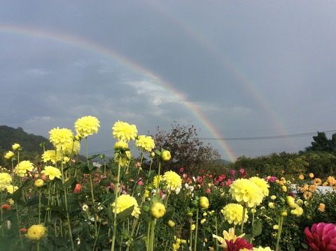 758720EA-C68A-4141-942A-4C7F97DB8D8F