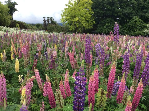 D4FEEE53-06F3-4EA4-AB50-A54A8A3A3606