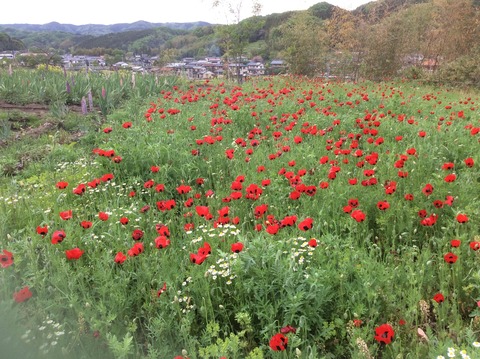 D93F7D87-672C-45B2-8AC4-D2D7DBB35147