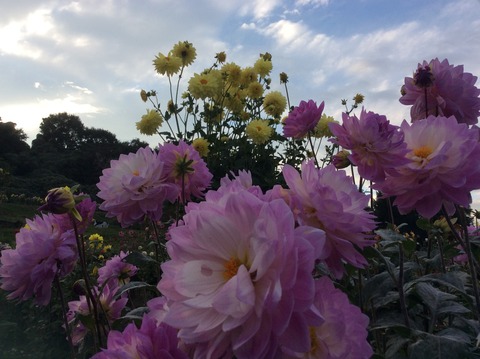 785DAB6F-C9F2-4AE9-9007-7DB389705868