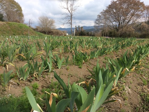 377E8B5E-1044-4386-B63A-9D665FF34B02