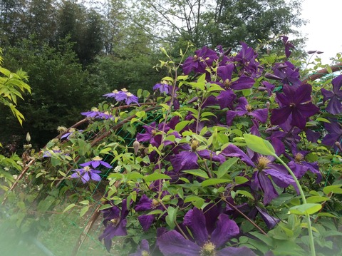 C96A3156-BD10-49C2-9A82-90EDB9C27B77