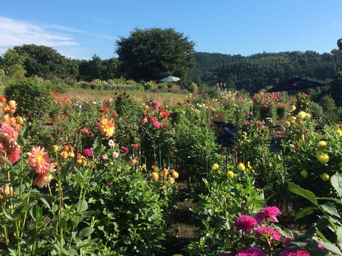 1B8B9B83-0F62-4DEE-80C3-2095B33D789D