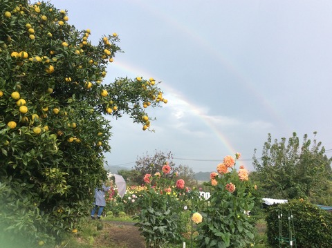 DFA01A03-5EA8-4EC3-B9C8-0A03574130C4