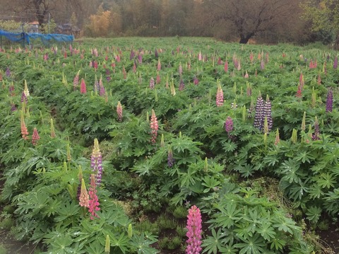 8F1A9177-591E-41EB-B1F1-72D9B5716295