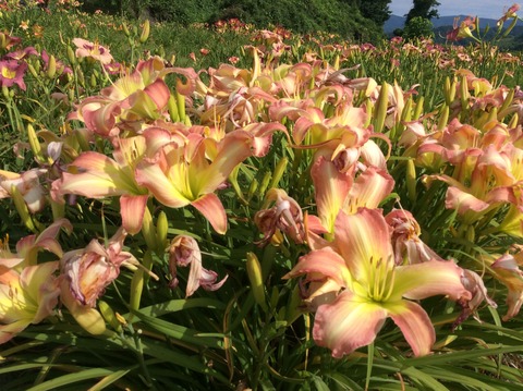 5DA473C7-3A56-4B7B-91C5-2C3A5ABD3D01