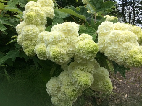 A2AC1C0B-06B1-4861-837F-59090C17FF3D