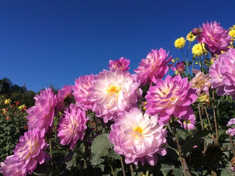 D0D0AC94-ED01-4996-B8B2-B8C18377306F