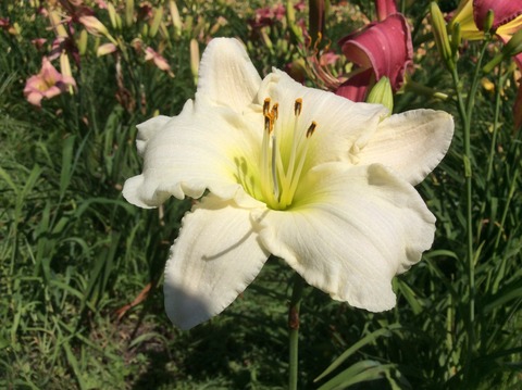 F75B10DB-E4B1-4781-813D-B4868C2904B5