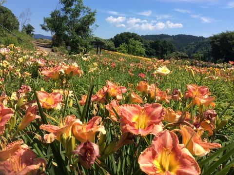 376FB17C-4D6D-4CC9-9176-7FA91F00CDE8