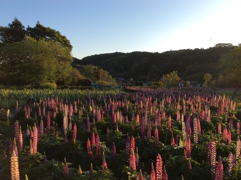 6040451E-F7F4-4934-80BD-7F9AA51F3729