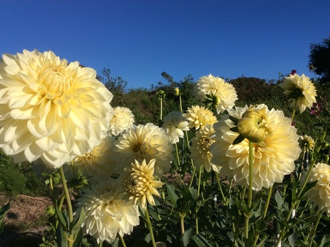 39137416-C921-4B0D-8295-4D30CE5262A5