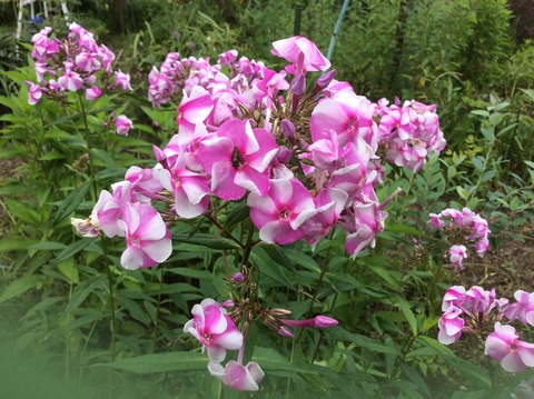 D7474F9E-A5E3-4D9F-A104-0183D7D3C333