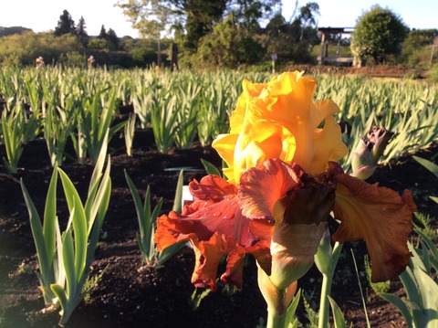 C6C0FC86-910F-424A-9416-CDEAC01DD1FC