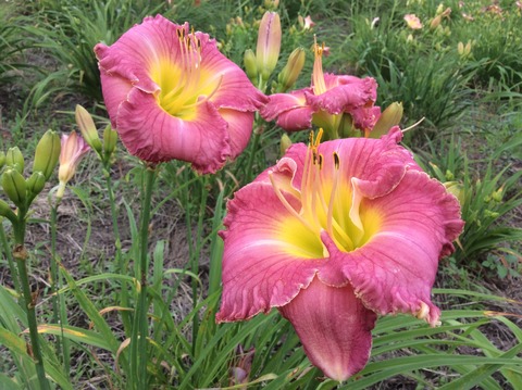 BF0ADF15-6FBE-40C6-B3C1-8B007E87A16D