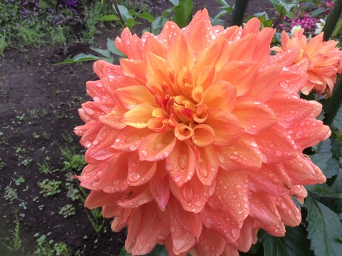 56A8607F-7787-4BC4-821A-9A0465C21E40