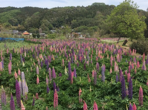 73403105-6228-4EA8-9141-4C33F5596E38