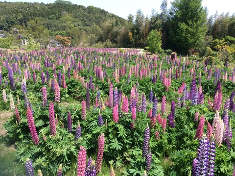 B1EEF484-5296-40B6-89D0-0DDDF6888FBE